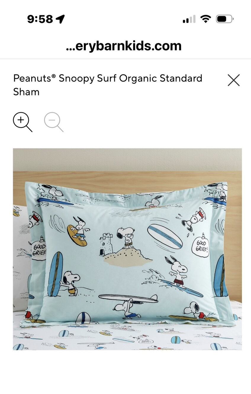 Pottery Barn Kids Peanuts Surfer Snoopy Standard Sham 100% Organic Cotton